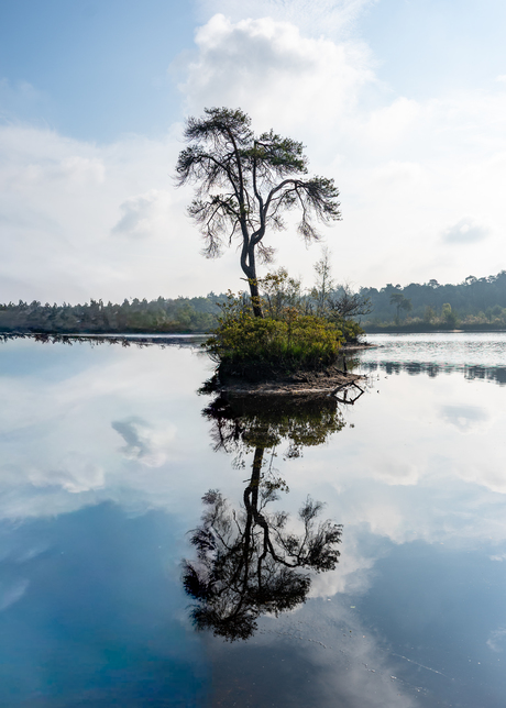 Oisterwijkse Bossen en Meren