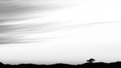 Silent silhouette