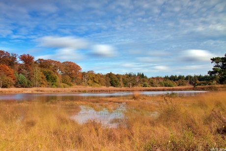 Natuurlijke ven