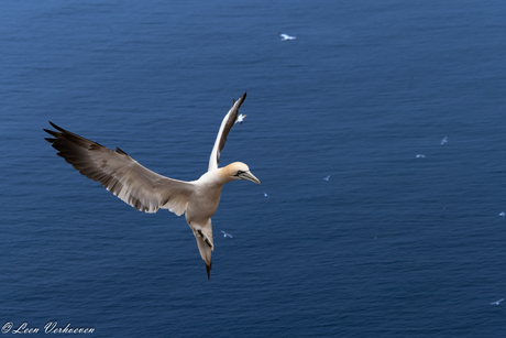 Helgoland