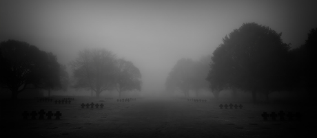 Misty morning at La cambe (2)