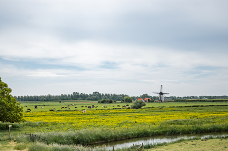 Hollands Lanschap