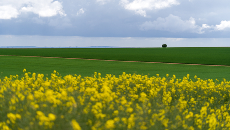 Onderweg naar Wissant 2
