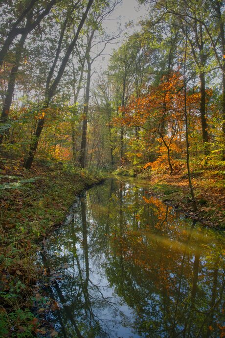 Maasduinen