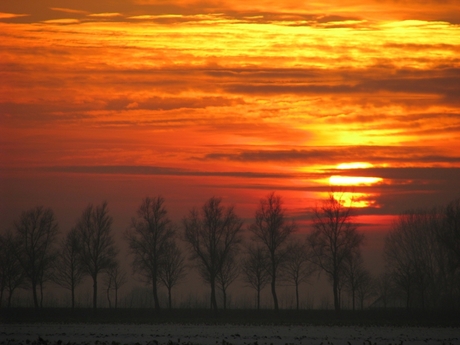 Ondergaande winterzon.