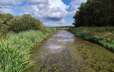 Doorkijkje