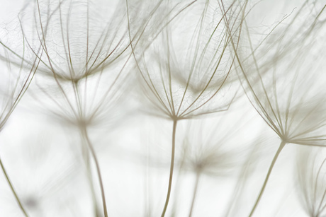 Abstract gele morgenster