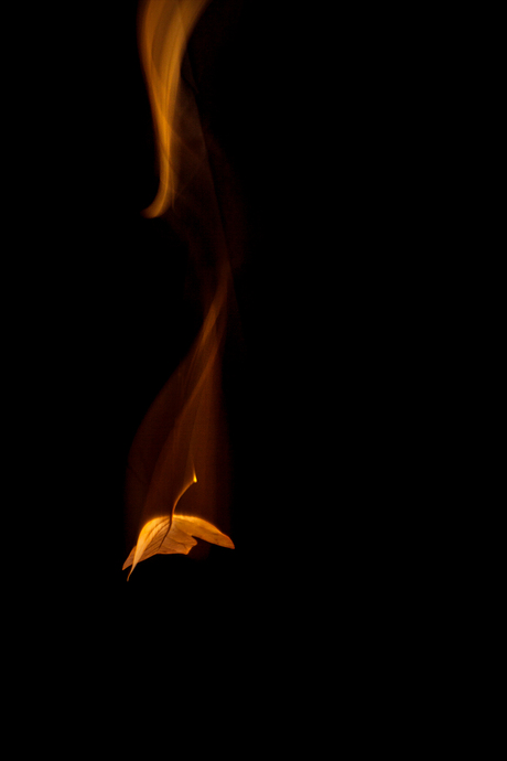 Fall (into depression)