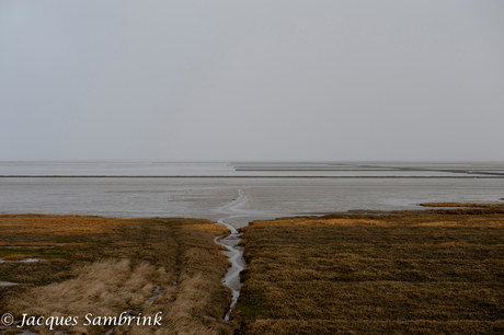 Waddenzee