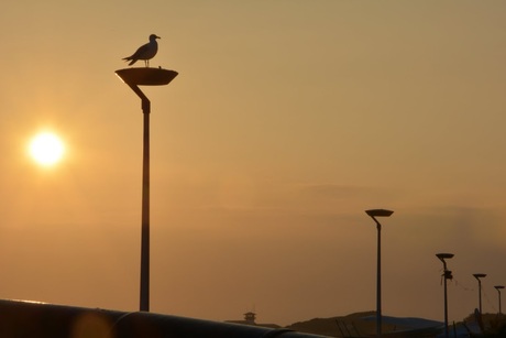 Zonsondergang Vlissingen