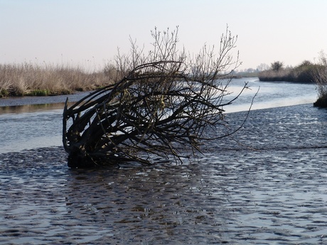 Korendijkse Slikken 3