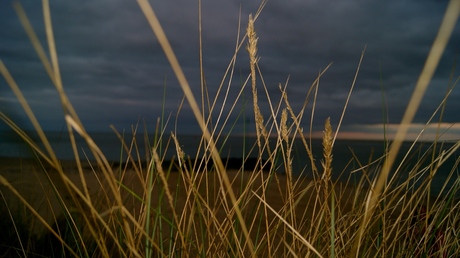 duinen