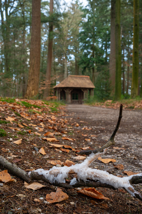 Willemstempel en ijshaar