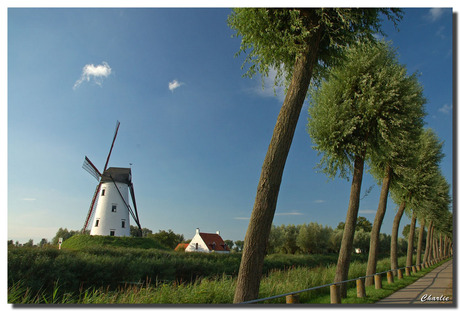 Molen Damme