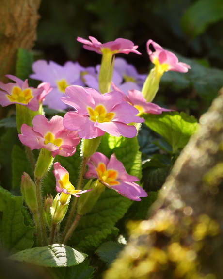 De sleutel tot kleur