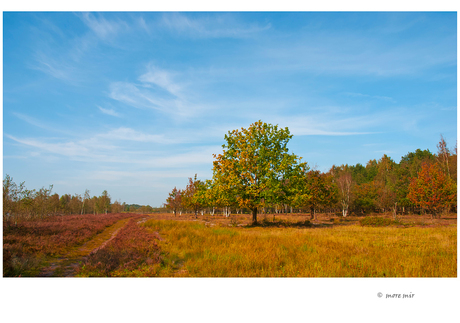 Overijssels landschap