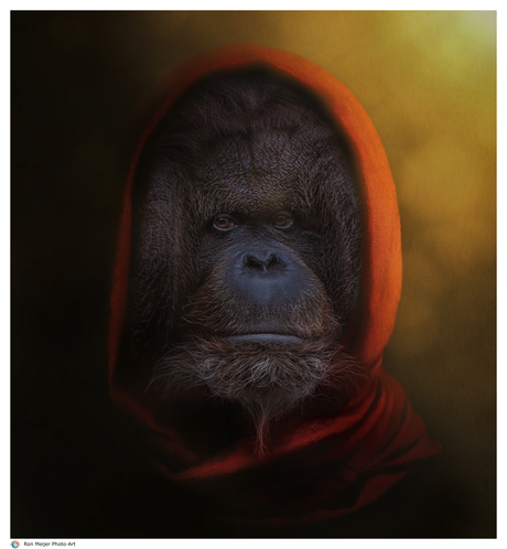 The monk