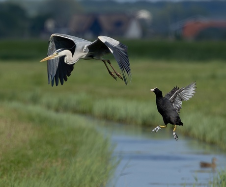 Verdediging 