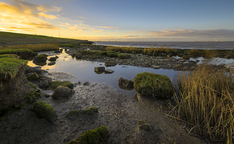 Waddenkust bij Fiemel, Punt van Reide