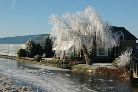 winterdag