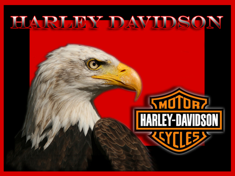 Arend Harley