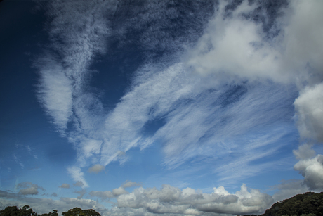 in de wolken