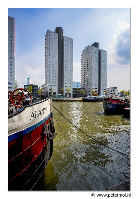 Rotterdam 5