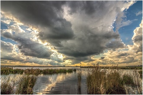 Dannemeer 't Roegwold Midden-groningen