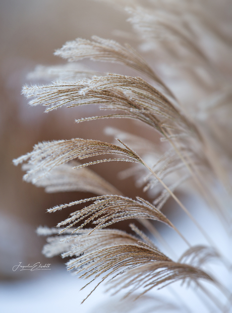 Hope is quiet. But it is still here.