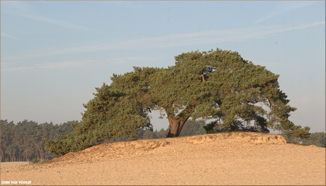 Zandverstuiving Doornspijk