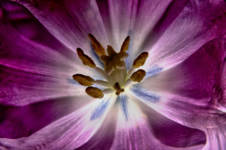 .........explosief......