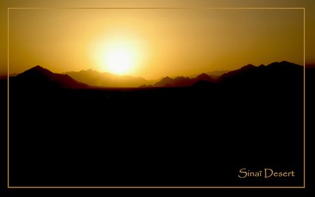 Sinai desert nightfall