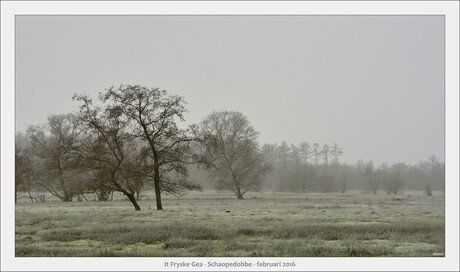 Schaopedobbe - Elsoo - Friesland