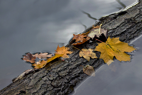 herfst