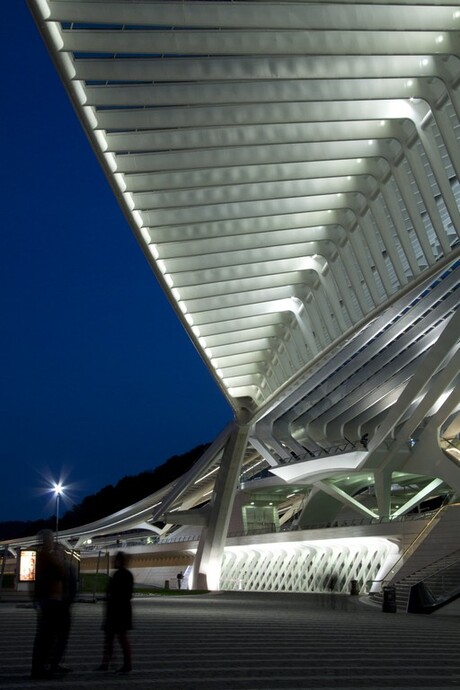 Station Guillemins Luik