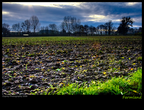 Farmland