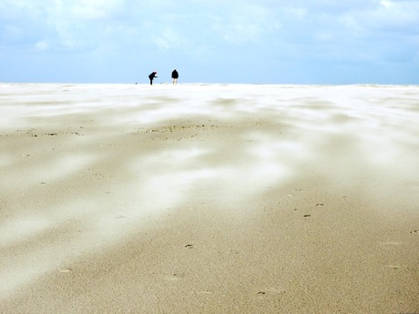 Noordzeestrand Schiermonnikoog