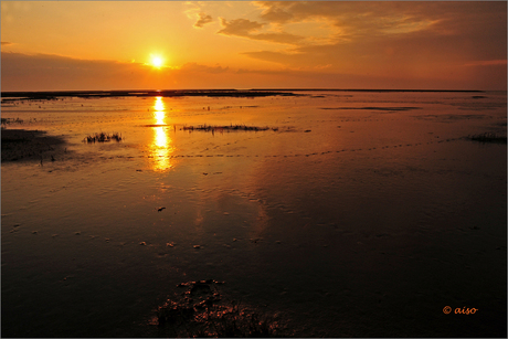 Wereld erfgoed, de Waddenzee.