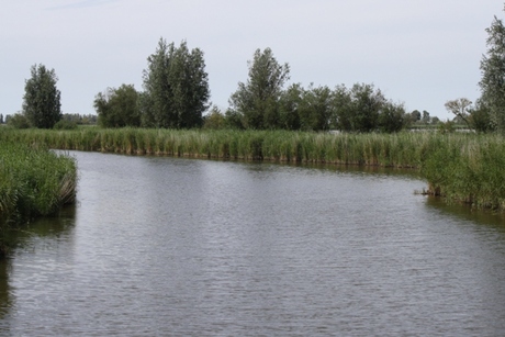 Oostvaardersplassen