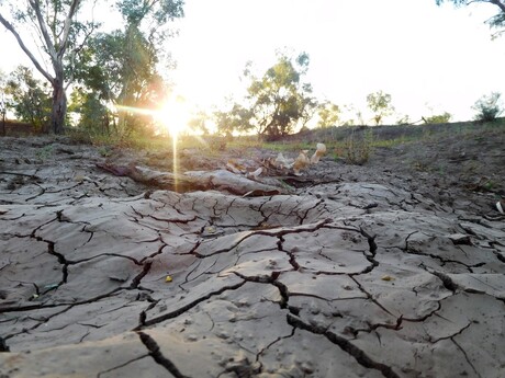 Sunset in the drought