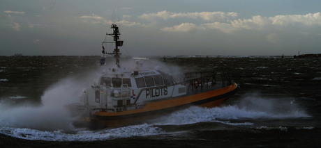 Piloten van de zee