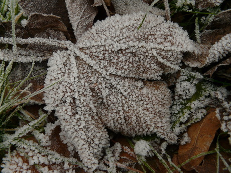 winterweer2