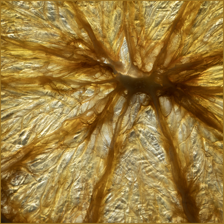 Gedroogde sinasappel