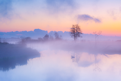 Zonsopkomst in Nationaal Park Weerribben-Wieden