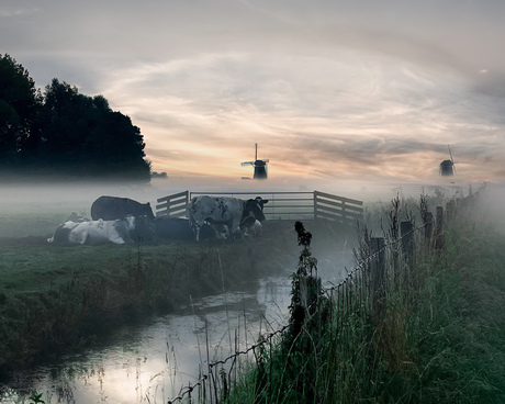 Misty morning over Dutch fields