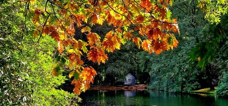 De herfst zorgt weer voor kleur