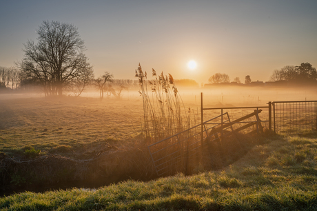 Mist in het park