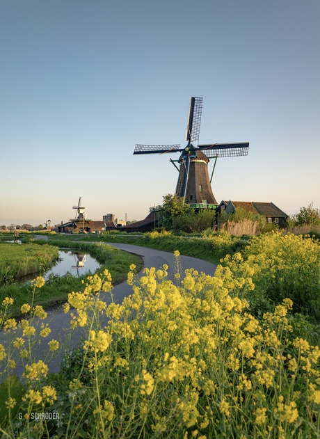 Zaanse Schans 