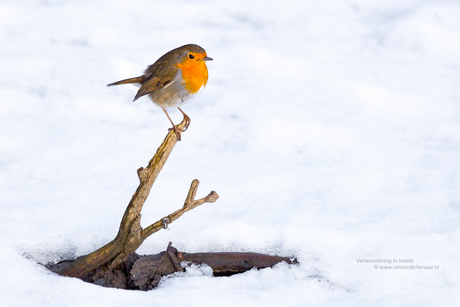 In de winter...is zo'n takje heel comfortabel.