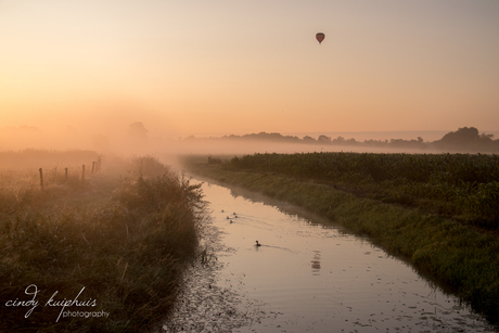 vroege vogels
